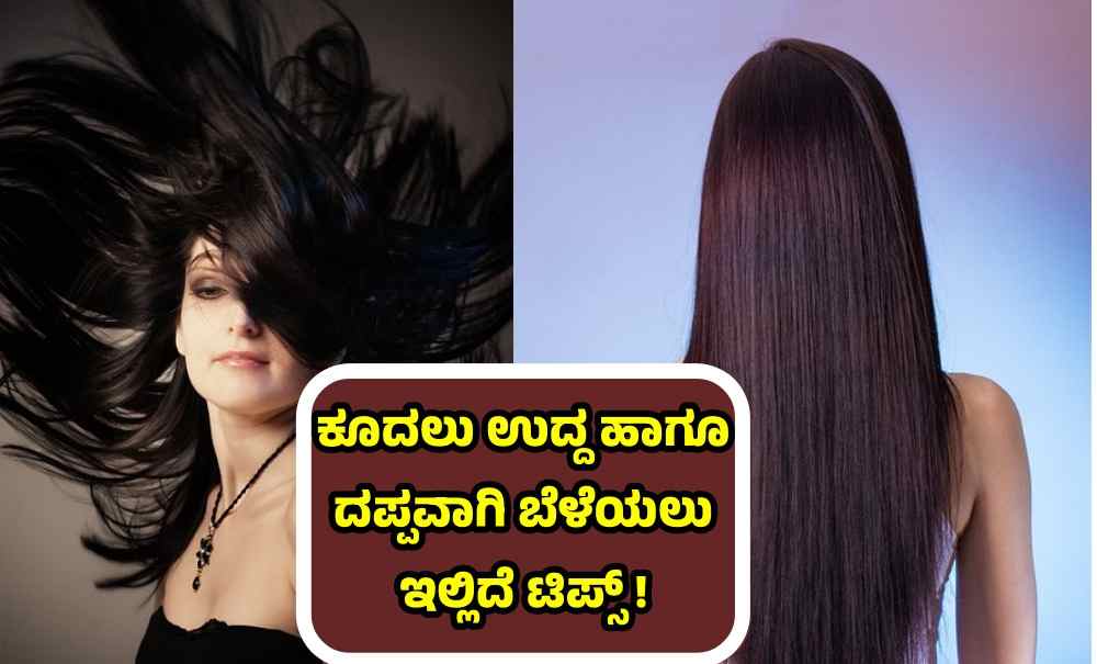 Hair Care Tips In Kannada  ನಮಮ ಕದಲ ದಟಟವಗ ಬಳಯಲ ಹಗ ಮಡ 
